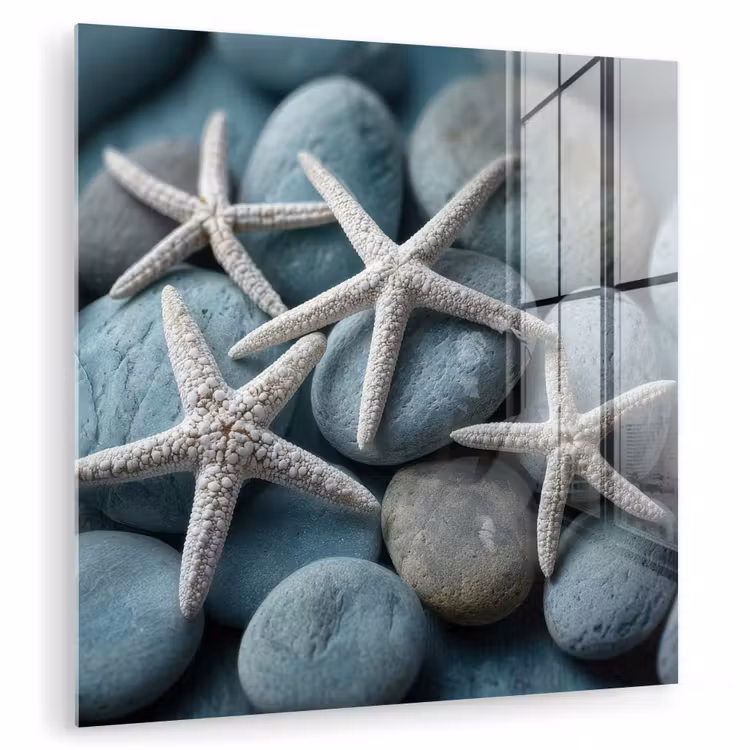 Zeesterren - Stenen - Wit plexiglas 5mm klein -zzzproduct_nieuw