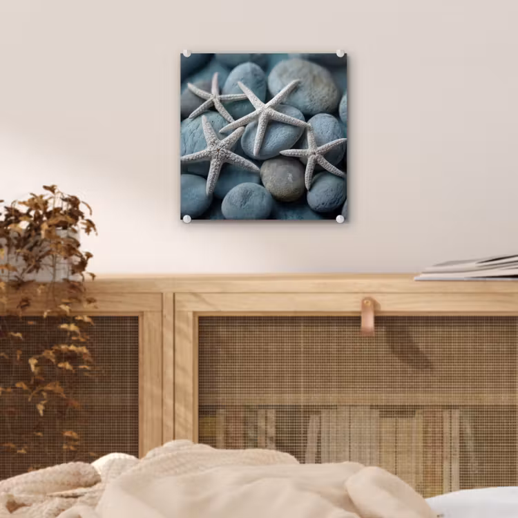 Zeesterren - Stenen - Wit plexiglas 5mm klein -sfeer4
