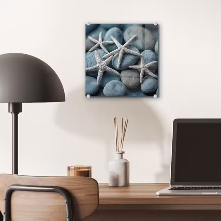 Zeesterren - Stenen - Wit plexiglas 5mm klein -sfeer6