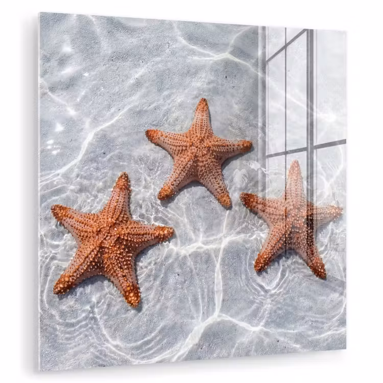 Zeesterren - Water - Helder plexiglas 5mm klein -zzzproduct_nieuw