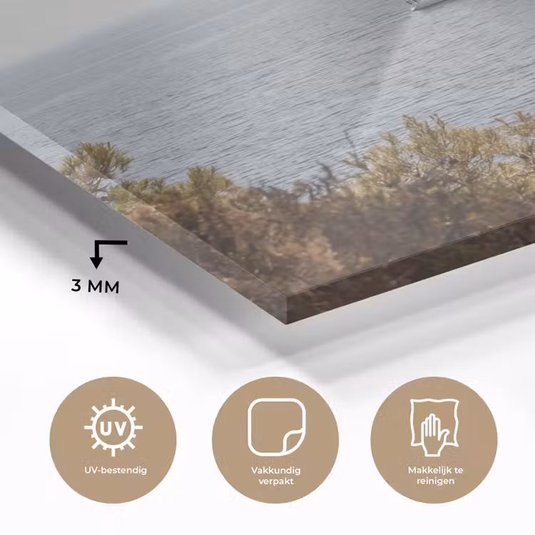 Glas schilderij - Zeilboot - bomen - water - Zeilboot - bomen - water plexiglas 5mm klein