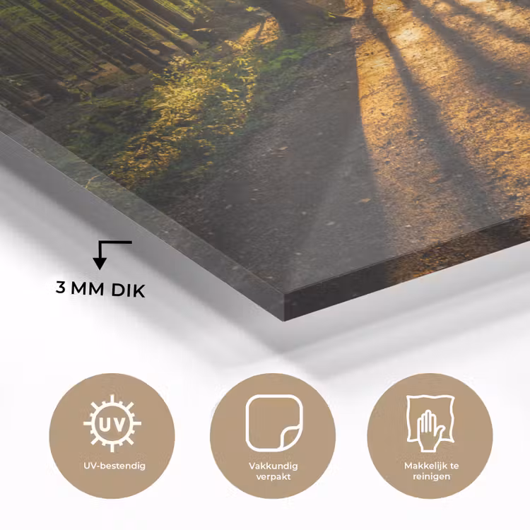 Zon - Bomen - Bos - Landschap - Natuur plexiglas 5mm klein -sfeer2