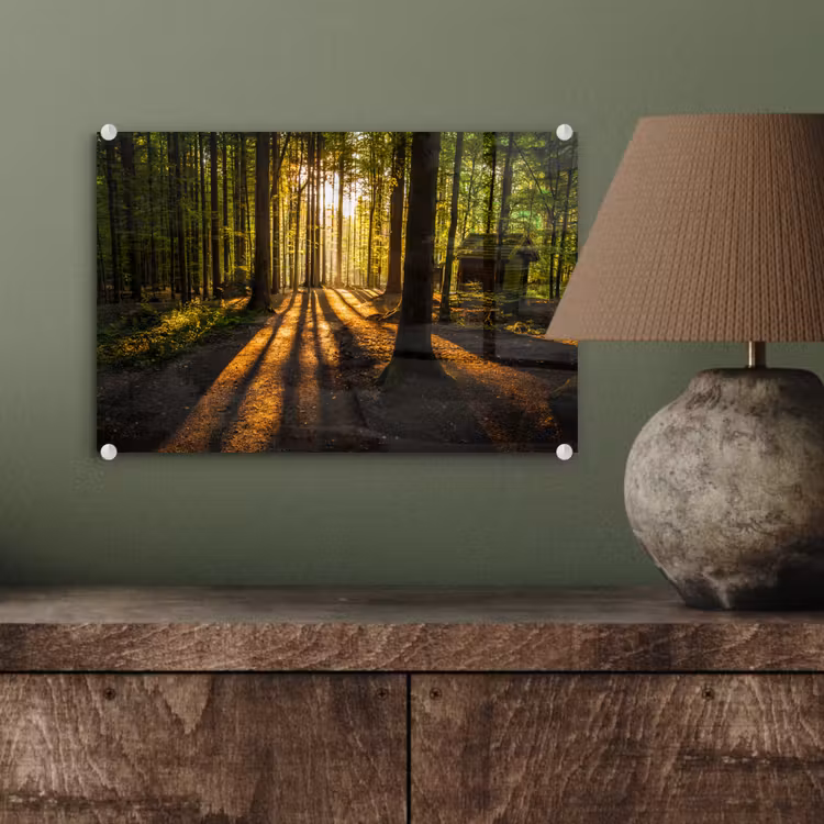Zon - Bomen - Bos - Landschap - Natuur plexiglas 5mm klein -sfeer3