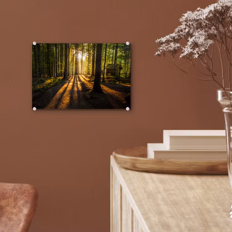 Zon - Bomen - Bos - Landschap - Natuur plexiglas 5mm klein -sfeer5