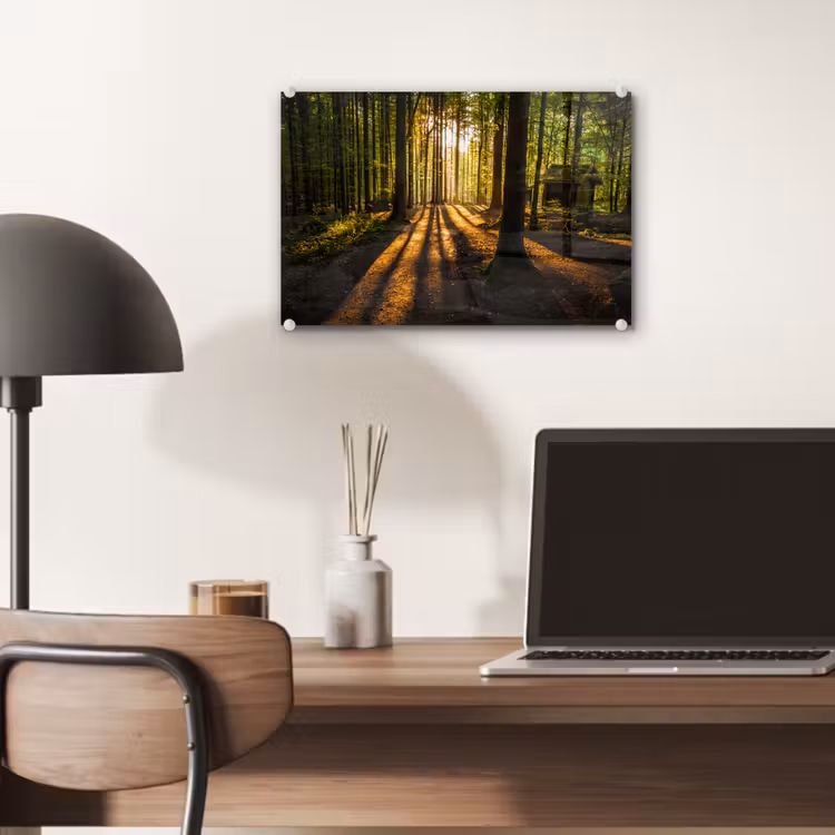 Zon - Bomen - Bos - Landschap - Natuur plexiglas 5mm klein -sfeer6