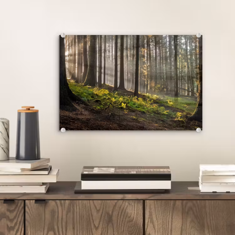 Zon - Takken - Bomen - Bos - Natuur plexiglas 5mm klein -sfeer1