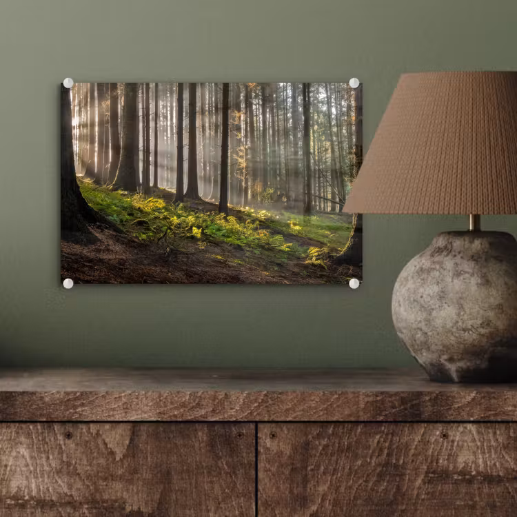 Zon - Takken - Bomen - Bos - Natuur plexiglas 5mm klein -sfeer3