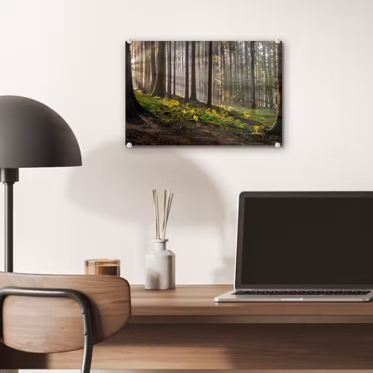 Zon - Takken - Bomen - Bos - Natuur plexiglas 5mm klein -sfeer6