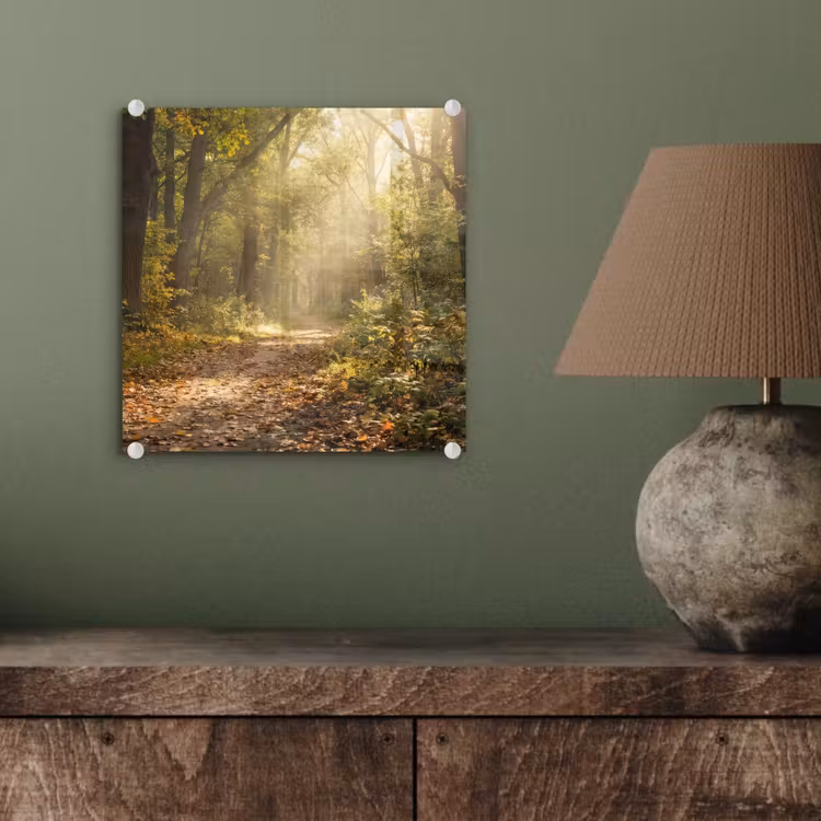 Zonlicht - Bospad - Bomen plexiglas 5mm klein -sfeer3