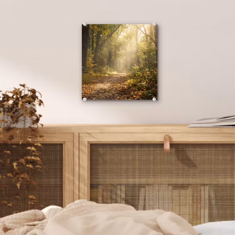 Zonlicht - Bospad - Bomen plexiglas 5mm klein -sfeer4