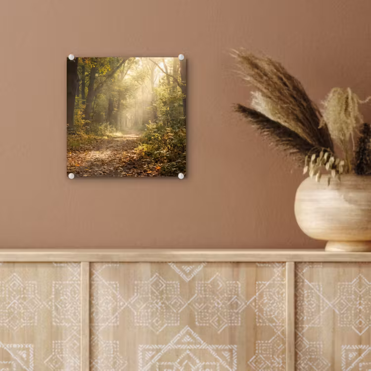 Zonlicht - Bospad - Bomen plexiglas 5mm klein -sfeer5