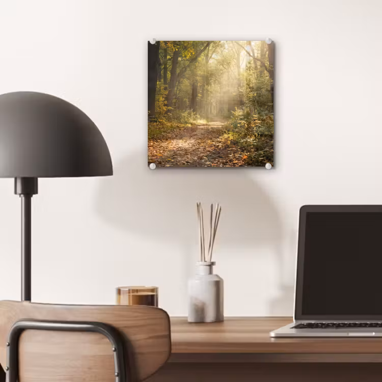 Zonlicht - Bospad - Bomen plexiglas 5mm klein -sfeer6