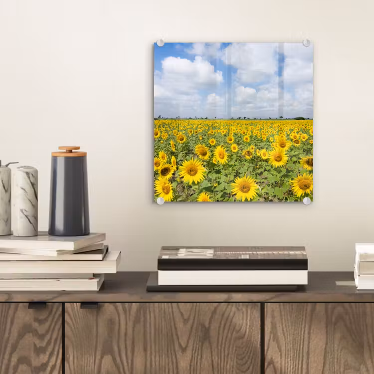 Zonnebloemen - Bloemen - Wolken - Natuur - Geel - Landschap plexiglas 5mm klein -sfeer1