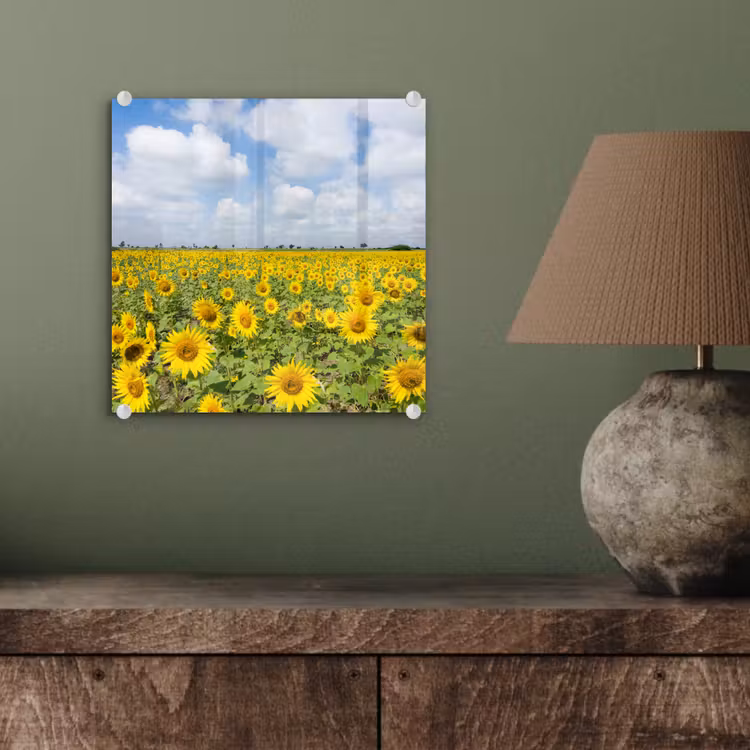 Zonnebloemen - Bloemen - Wolken - Natuur - Geel - Landschap plexiglas 5mm klein -sfeer3