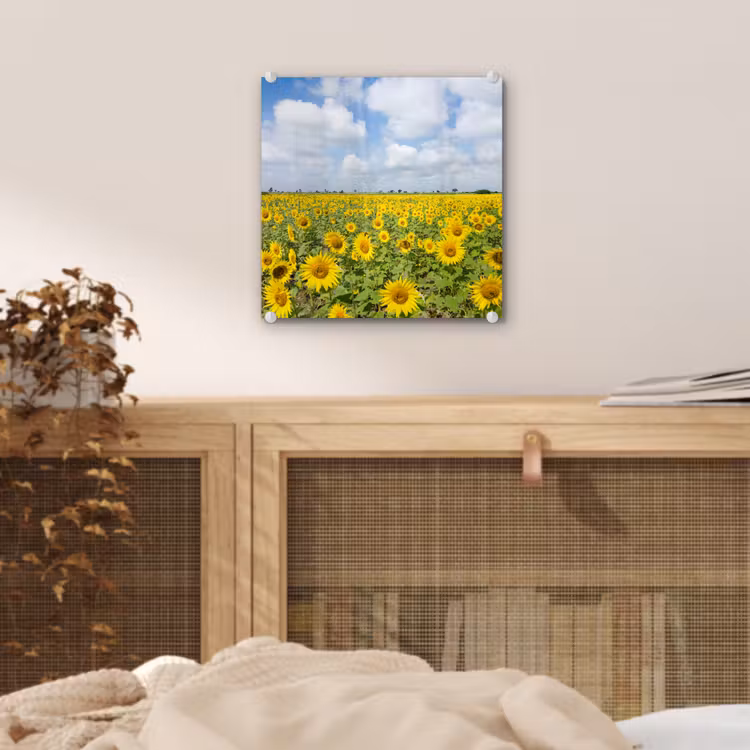 Zonnebloemen - Bloemen - Wolken - Natuur - Geel - Landschap plexiglas 5mm klein -sfeer4