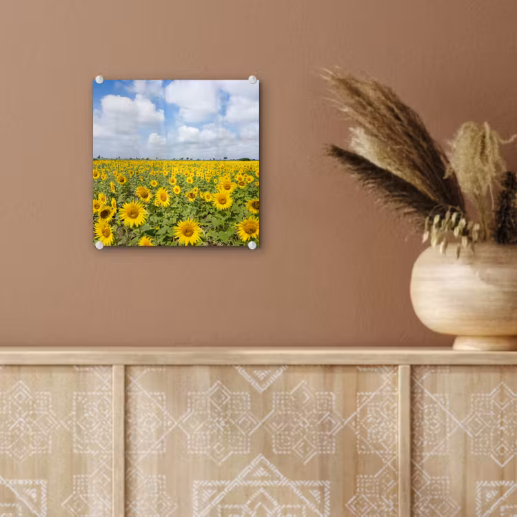 Zonnebloemen - Bloemen - Wolken - Natuur - Geel - Landschap plexiglas 5mm klein -sfeer5
