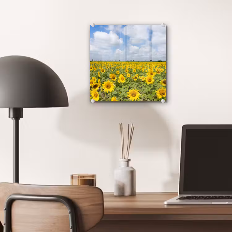 Zonnebloemen - Bloemen - Wolken - Natuur - Geel - Landschap plexiglas 5mm klein -sfeer6