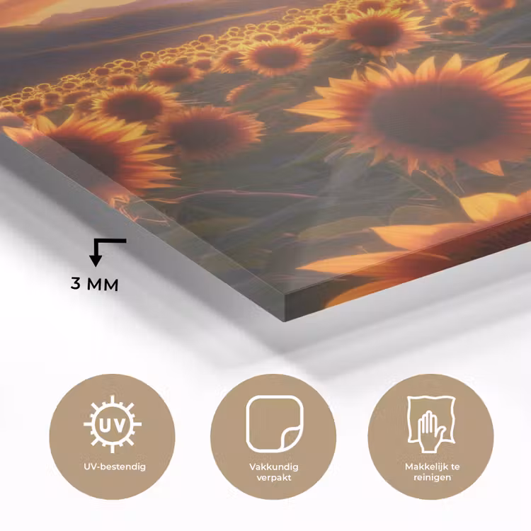 Zonnebloemen - Zonsondergang - Landschap plexiglas 5mm klein -sfeer2