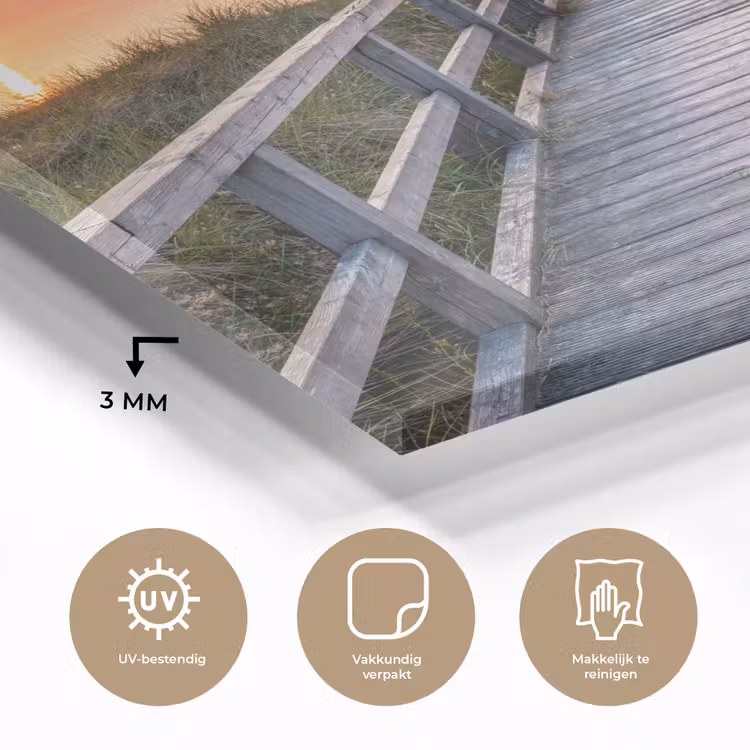 Zonsonderang - Zee - Pad - Gras - Duin - Vogels plexiglas 5mm klein -sfeer2