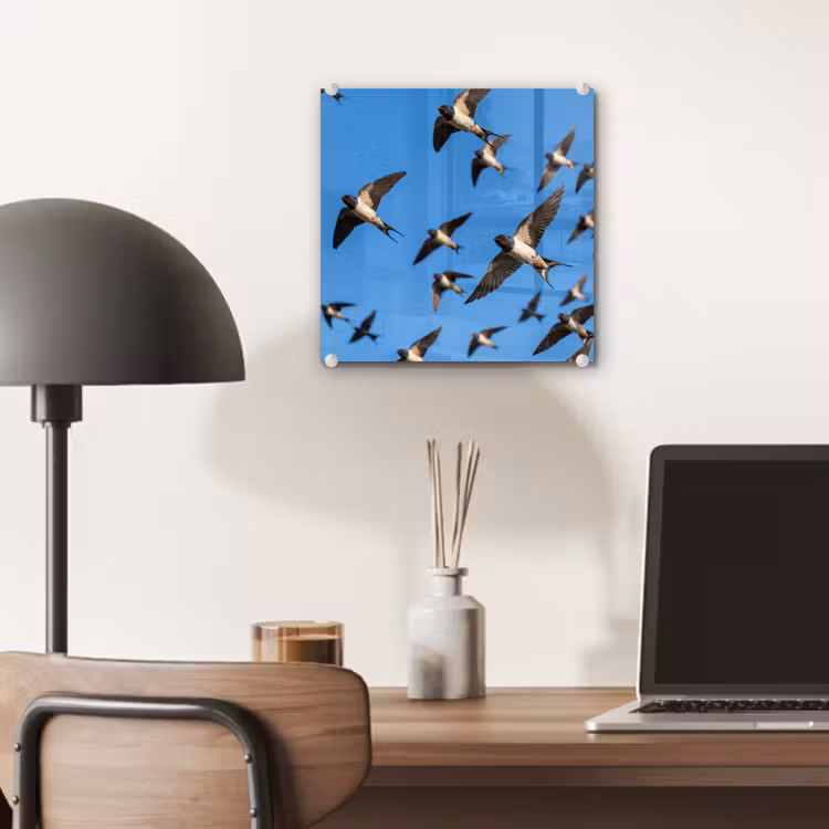 Zwaluwen - Vliegen - Blauw plexiglas 5mm klein -sfeer6