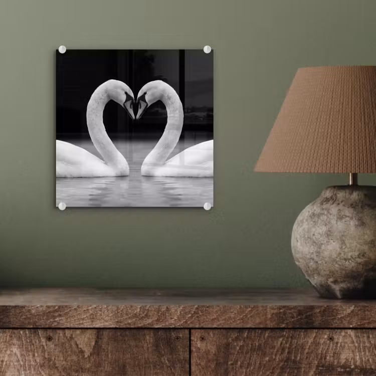 Zwanen - Hart - Zwart - Wit plexiglas 5mm klein -sfeer3