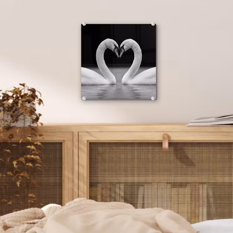 Zwanen - Hart - Zwart - Wit plexiglas 5mm klein -sfeer4