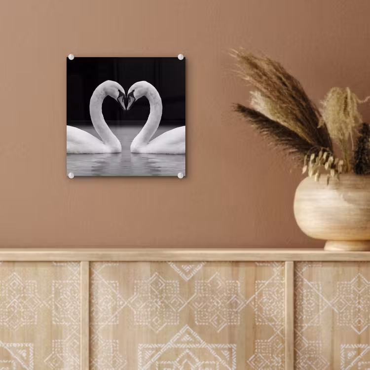Zwanen - Hart - Zwart - Wit plexiglas 5mm klein -sfeer5