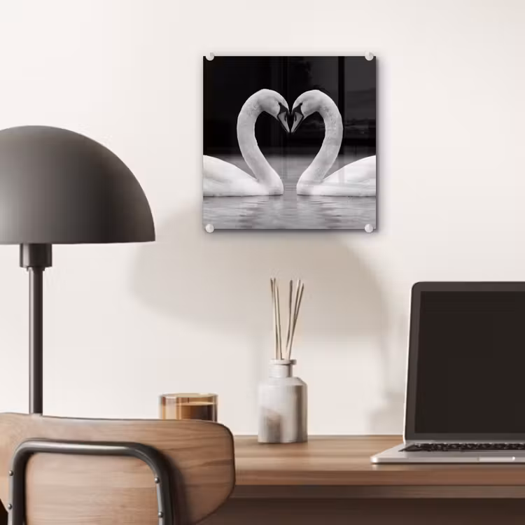 Zwanen - Hart - Zwart - Wit plexiglas 5mm klein -sfeer6