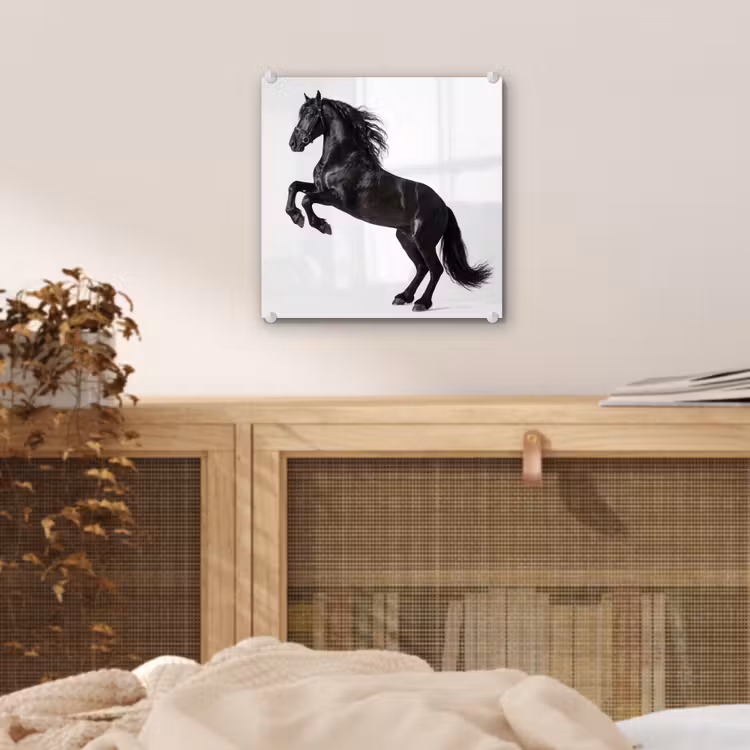 Zwart - Paard - Portret plexiglas 5mm klein -sfeer4