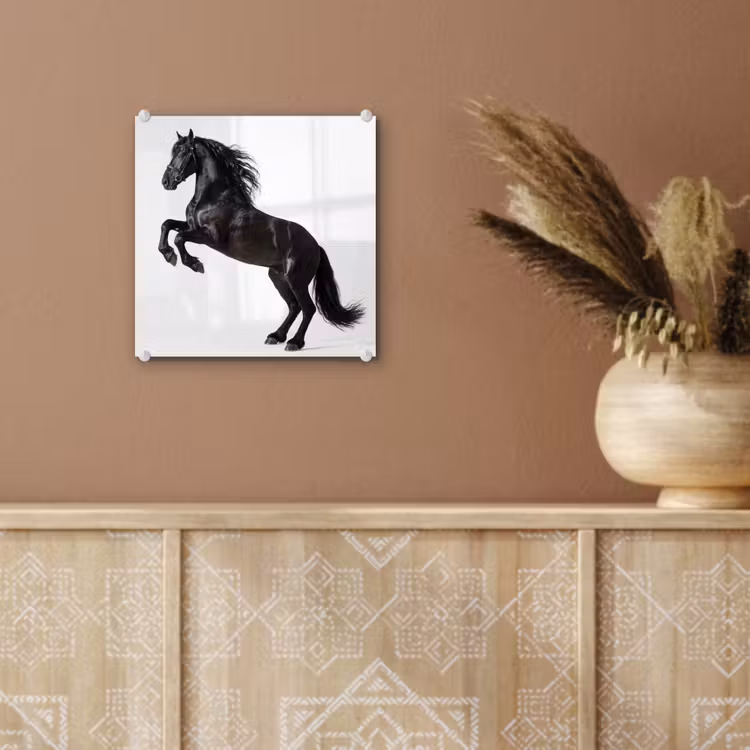 Zwart - Paard - Portret plexiglas 5mm klein -sfeer5