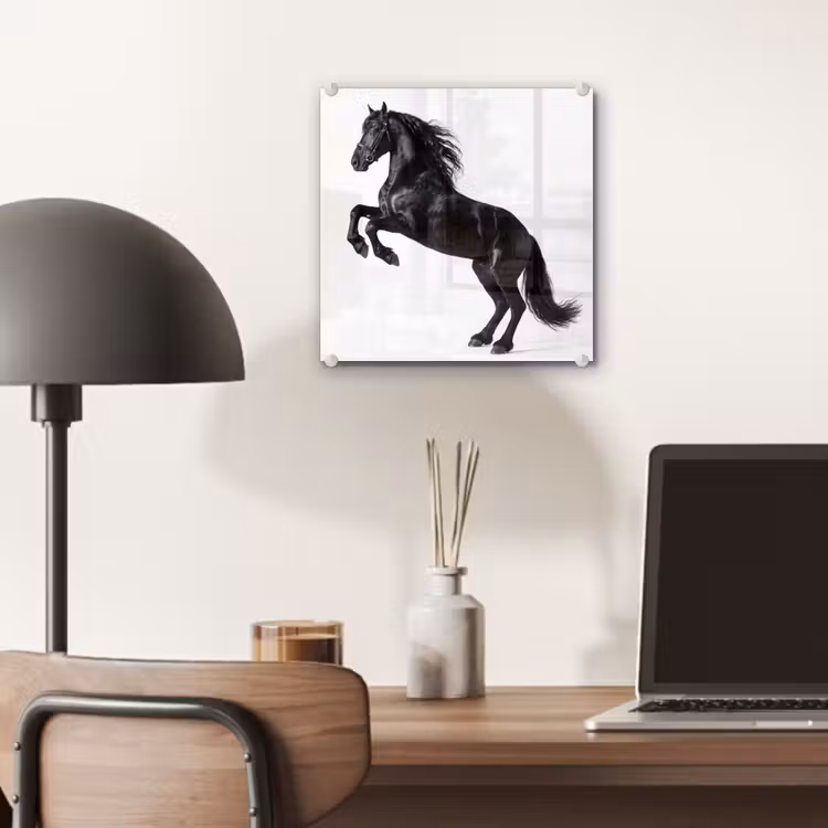 Zwart - Paard - Portret plexiglas 5mm klein -sfeer6