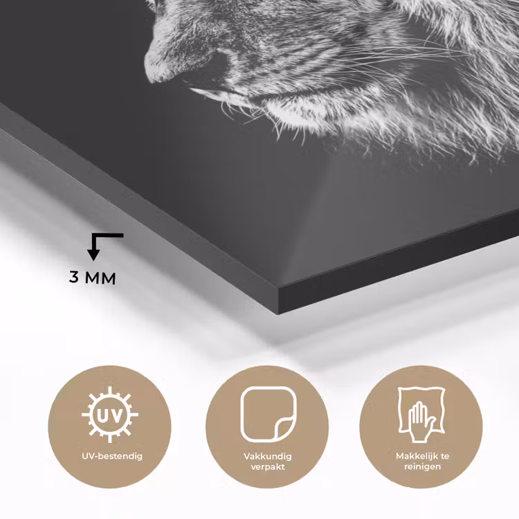 Zwart Wit - Leeuw - Kop - Dieren plexiglas 5mm klein -sfeer2