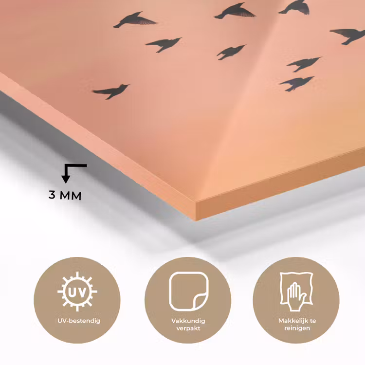 Zwerm - Vogels - Oranje plexiglas 5mm klein -sfeer2