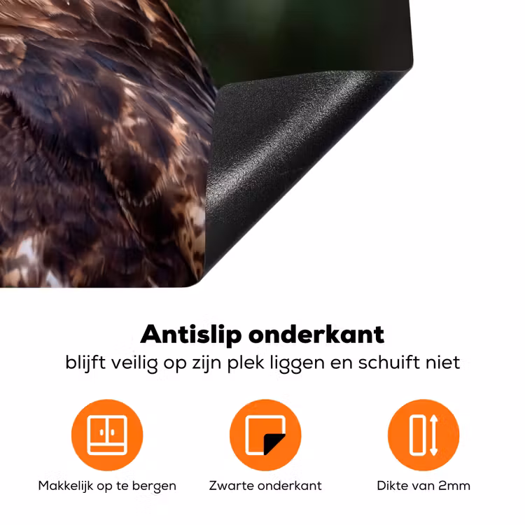 Buizerd - Roofvogel - Natuur - Bruin Inductie beschermer vinyl 3mm klein -zzzzzzz-td-onderkant