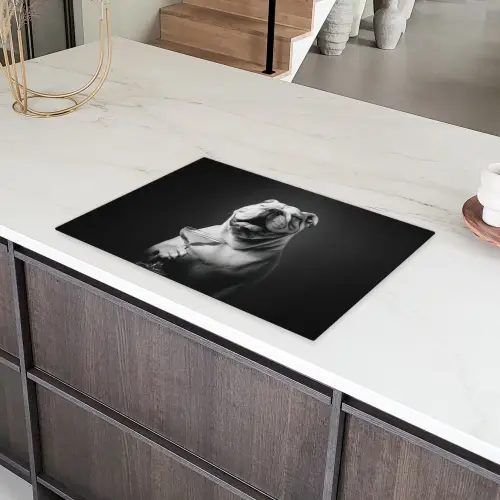Buldog - Hond - Glas Inductie beschermer vinyl 3mm klein -sfeer8