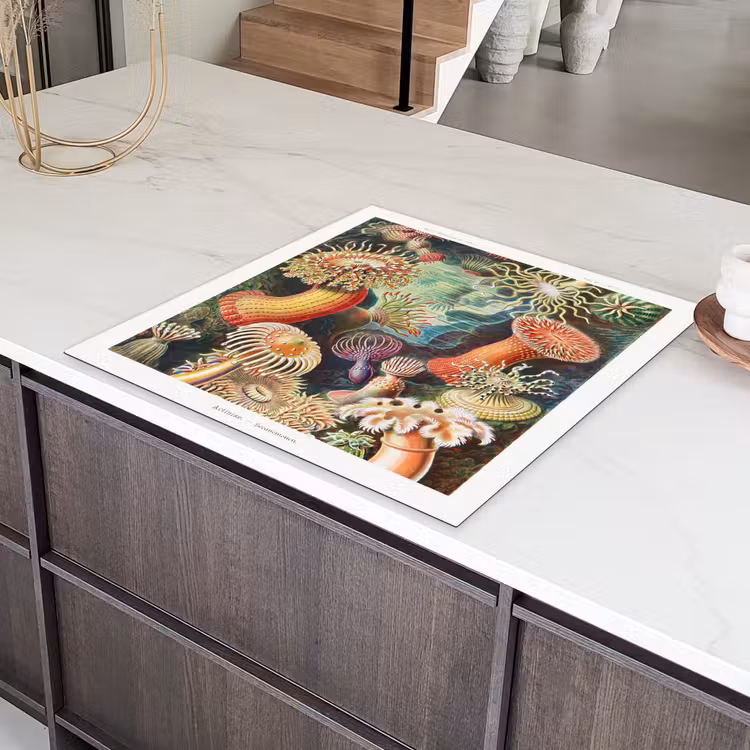 Ernst Haeckel - Anemoon - Retro - Natuur - Planten - Zee Inductie beschermer vinyl 3mm middel -sfeer8