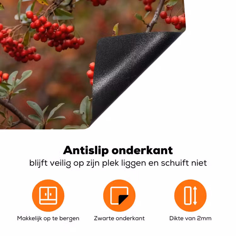 Goudvink - Bessen - Herfst - Natuur - Kleurrijk Inductie beschermer vinyl 3mm klein -zzzzzzz-td-onderkant