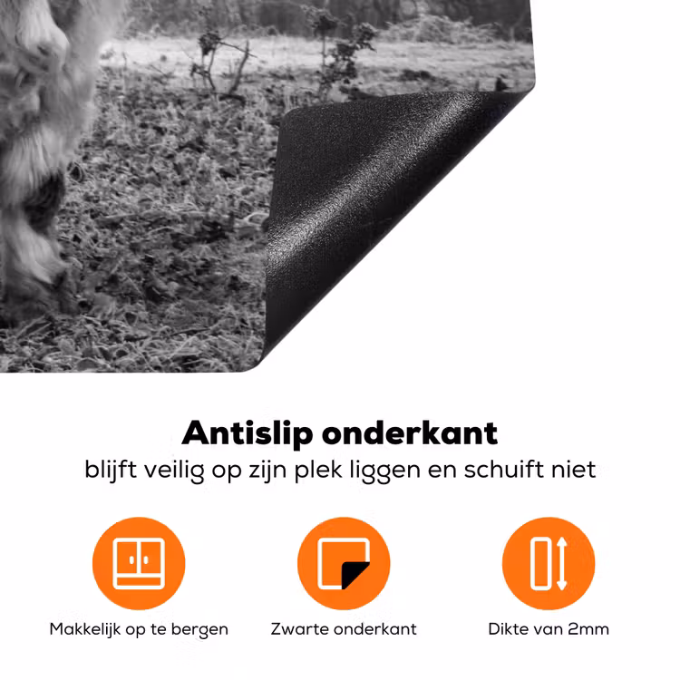 Heerser van de Mist Inductie beschermer vinyl 3mm klein -zzzzzzz-td-onderkant