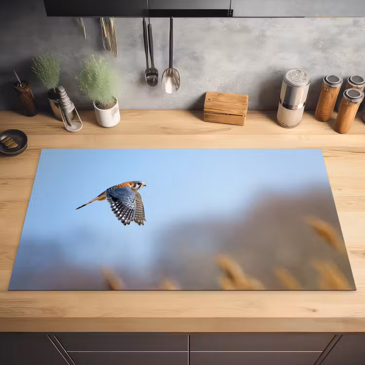 Kleurrijke valk aan het vliegen Inductie beschermer vinyl 3mm middel -sfeer5