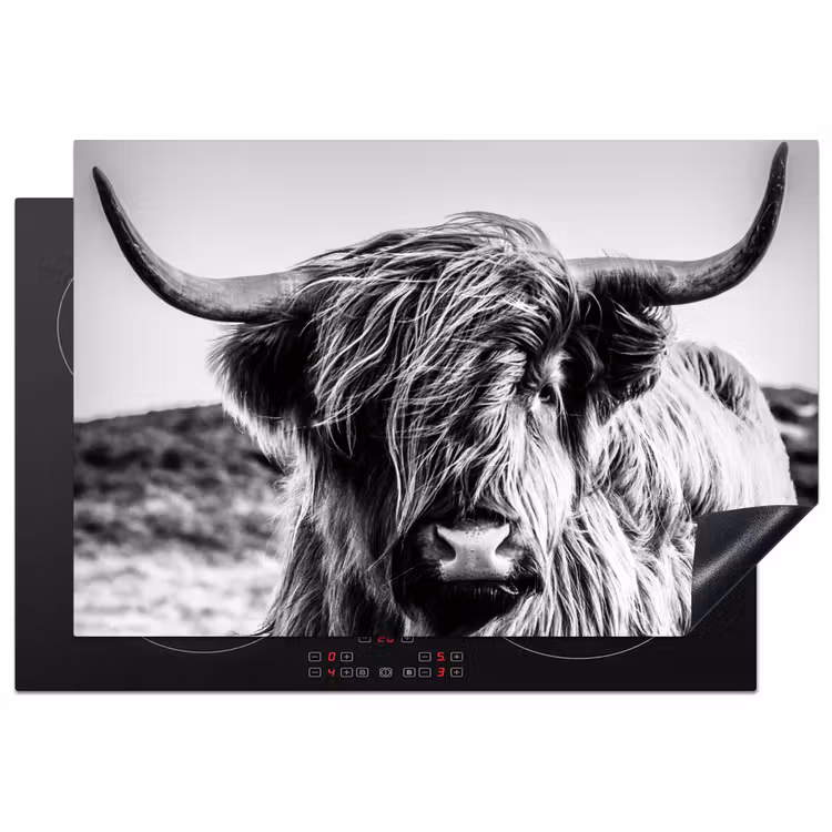 Koe - Schotse hooglander - Zwart - Wit - Dier - Natuur - Wild Inductie beschermer vinyl 3mm klein -3d
