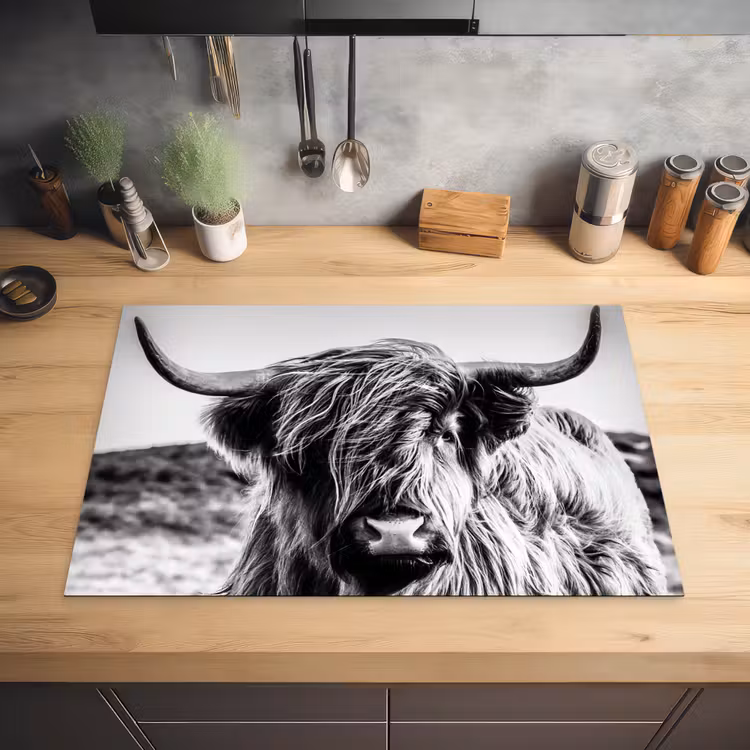 Koe - Schotse hooglander - Zwart - Wit - Dier - Natuur - Wild Inductie beschermer vinyl 3mm klein -sfeer5