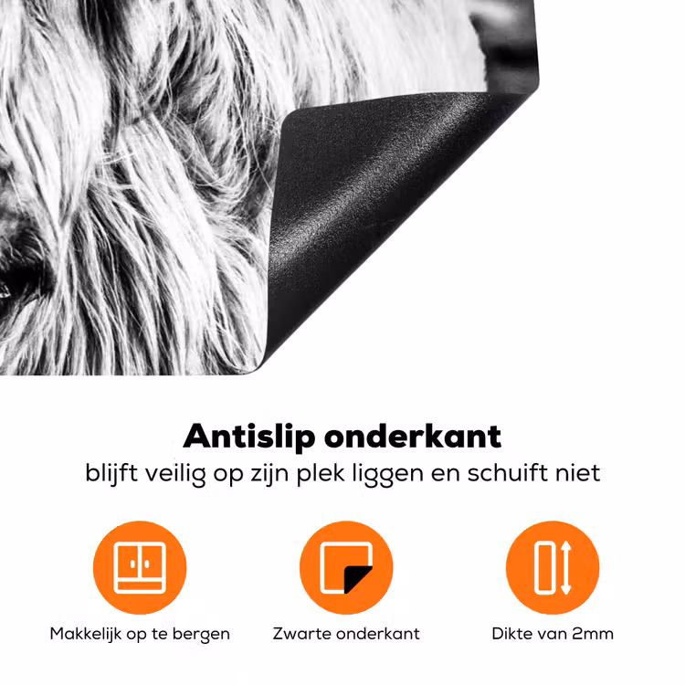 Koe - Schotse hooglander - Zwart - Wit - Dier - Natuur - Wild Inductie beschermer vinyl 3mm klein -zzzzzzz-td-onderkant