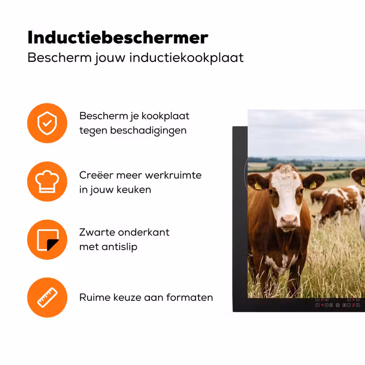 Koeien - Portret - Weide - Boerderij - Nieuwsgierig Inductie beschermer vinyl 3mm klein -zzzzzzz-td-ups