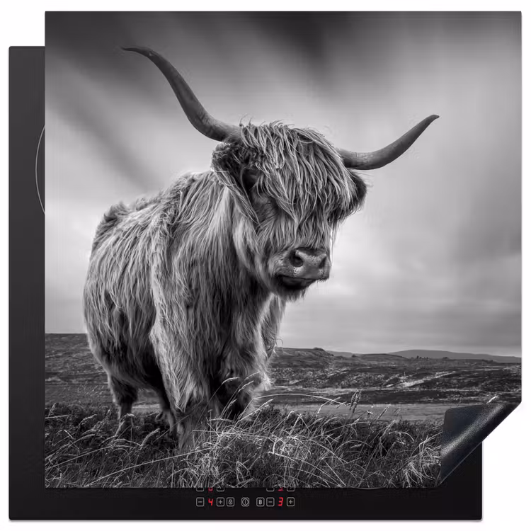 Koeien - Schotse hooglander - Natuur - Dieren - Zwart wit Inductie beschermer vinyl 3mm middel -3d