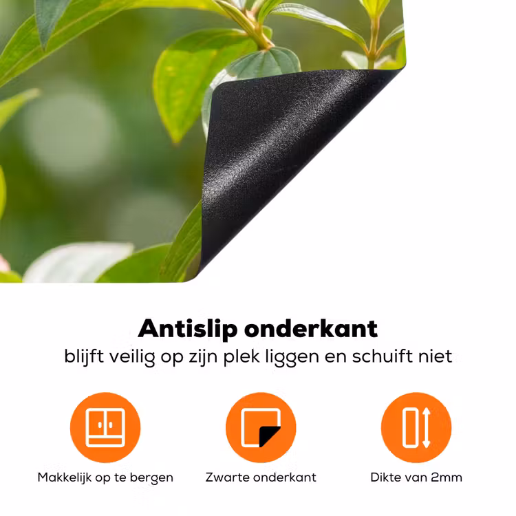 Kolibrie - Bloem - Natuur - Groen Inductie beschermer vinyl 3mm klein -zzzzzzz-td-onderkant