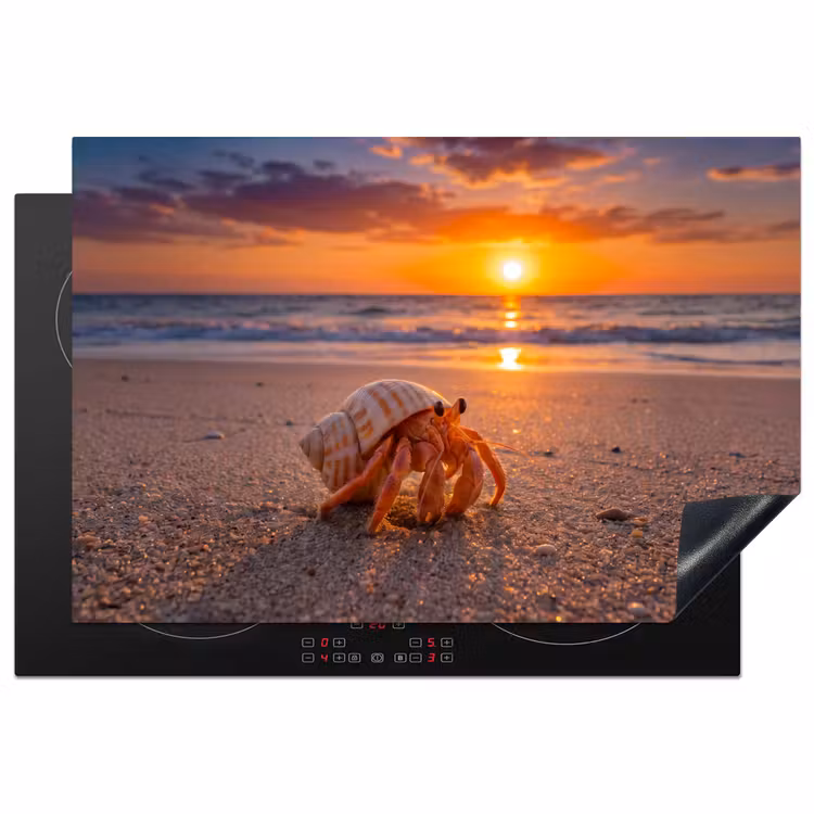 Kreeft - Strand - Natuur - Zonsondergang - Oranje Inductie beschermer vinyl 3mm klein -3d