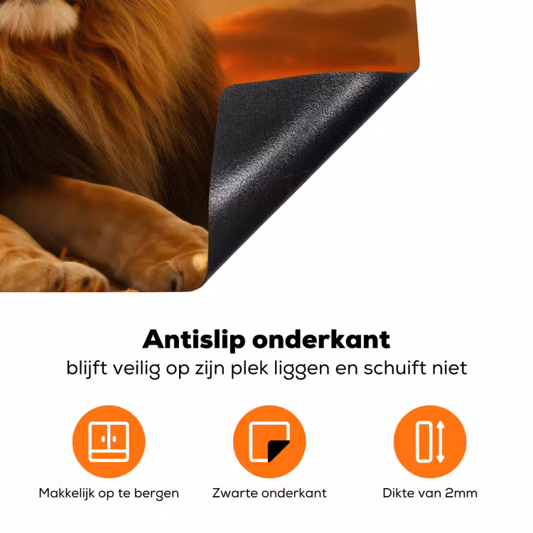 Leeuwen - Zonsondergang - Afrika - Savanne - Dieren Inductie beschermer vinyl 3mm klein -zzzzzzz-td-onderkant