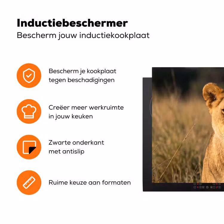 Leeuwin - Gras - Geel Inductie beschermer vinyl 3mm klein -zzzzzzz-td-ups