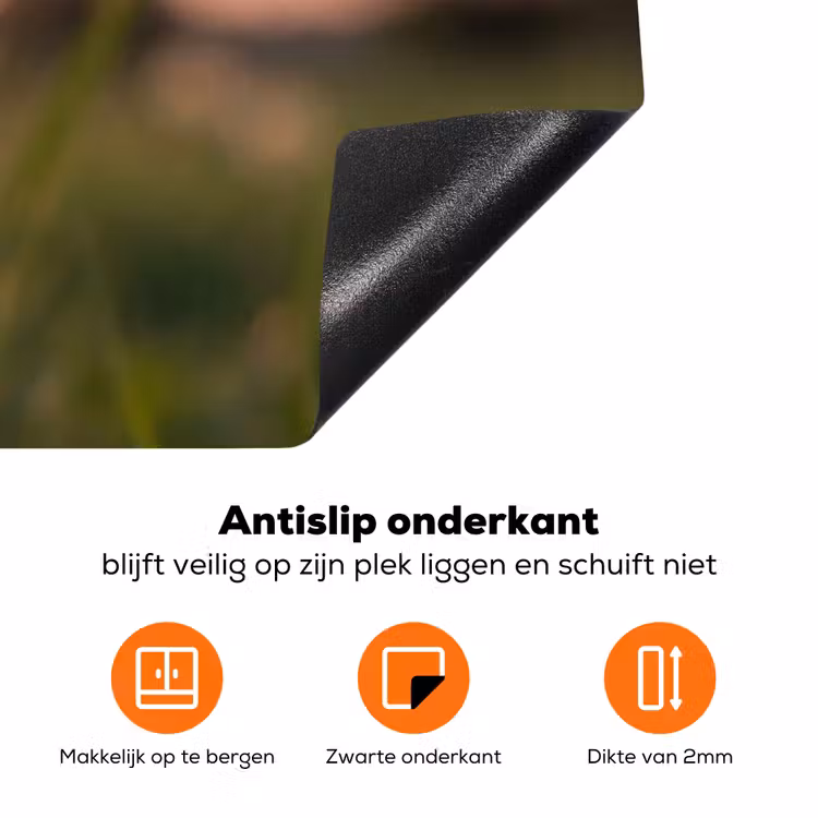 Paardenbloem - Zonsondergang - Veld Inductie beschermer vinyl 3mm klein -zzzzzzz-td-onderkant