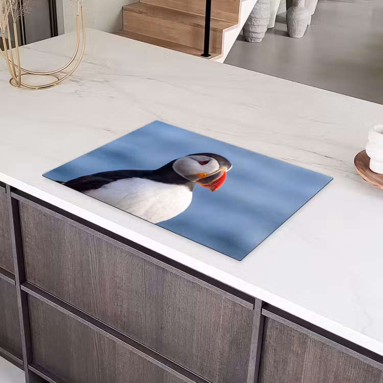 Papegaaiduiker - Portret - Natuur Inductie beschermer vinyl 3mm klein -sfeer8